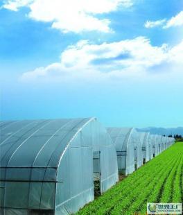 現代農業設施與設備 大棚、溫室及噴灌系統全面解析